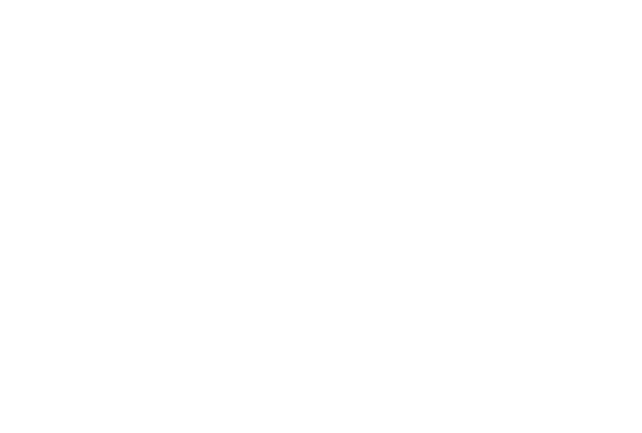 shadow image of Smash Tours and Travel